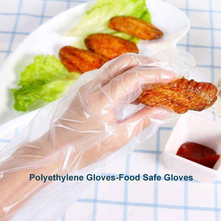 Gloves for Food Safety