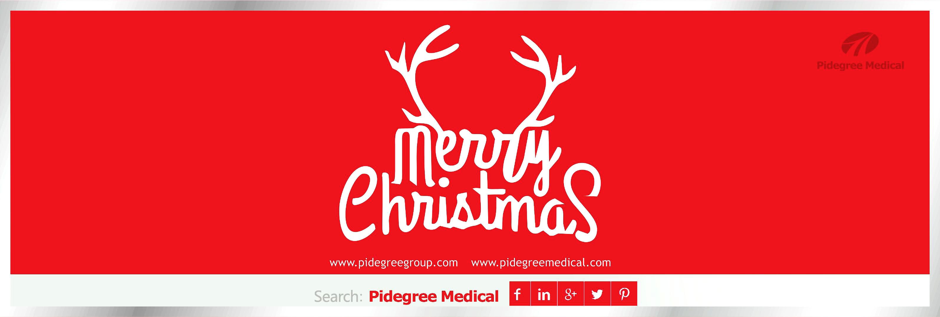 You have received a Christmas greeting card from Pidegree Group! 