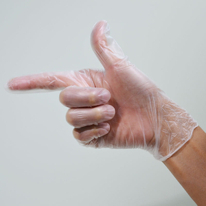 Latex Free Disposable Essentials Vinyl Examination Gloves