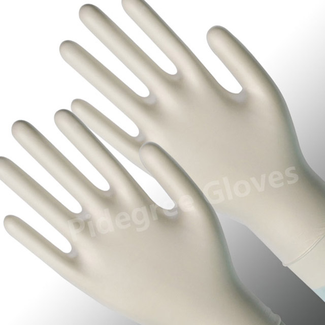 Clear Disposable Vinyl Gloves Powder Free Wholesale | Pidegree