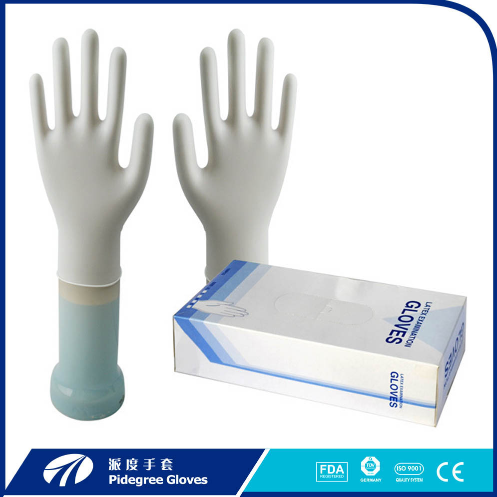 Pidegree Latex Gloves